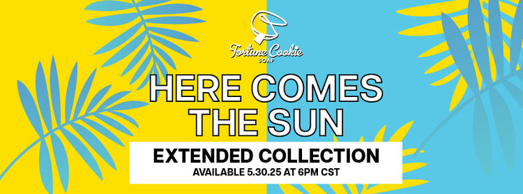 HERE COMES THE SUN