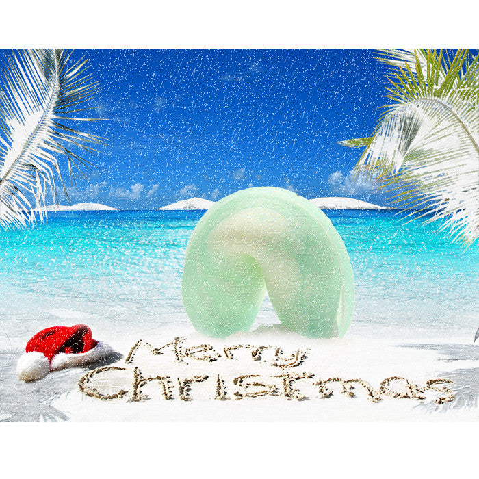 Bundle Up! Fortune Cookie Soap - Fortune Cookie Soap